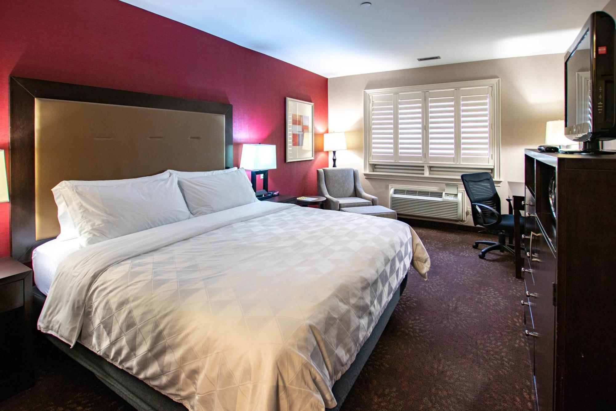 Holiday Inn Hotel & Suites St.Catharines-Niagara By Ihg Sainte-Catherine Eksteriør billede